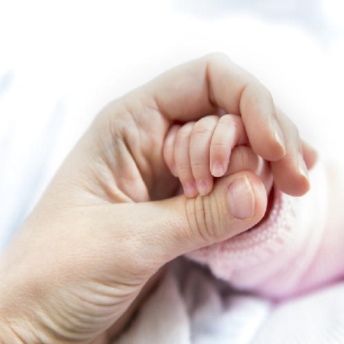 https://hospital.wharconline.org/wp-content/uploads/2022/05/services033.jpg
